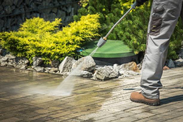 Trusted Paloma Creek, TX Pressure Washing Experts
